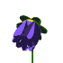 blue_flower_anim.gif (5167 bytes)