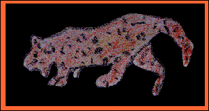 Bryan Jaguar.GIF (10744 bytes)