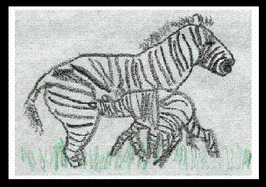 Bryan Zebras.GIF (24339 bytes)