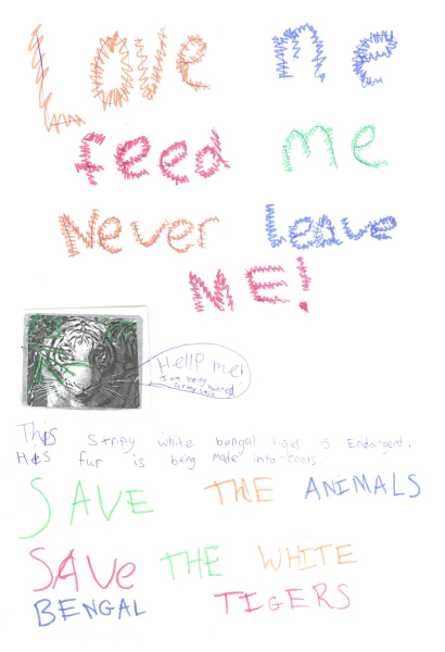 Save the White Bengal Tigers Poster by Maddy