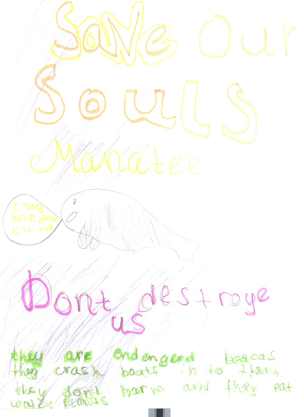 Poster - Save the Manatees - by Sarah